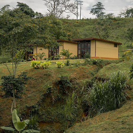 Adama Biohotel Calima Exteriér fotografie